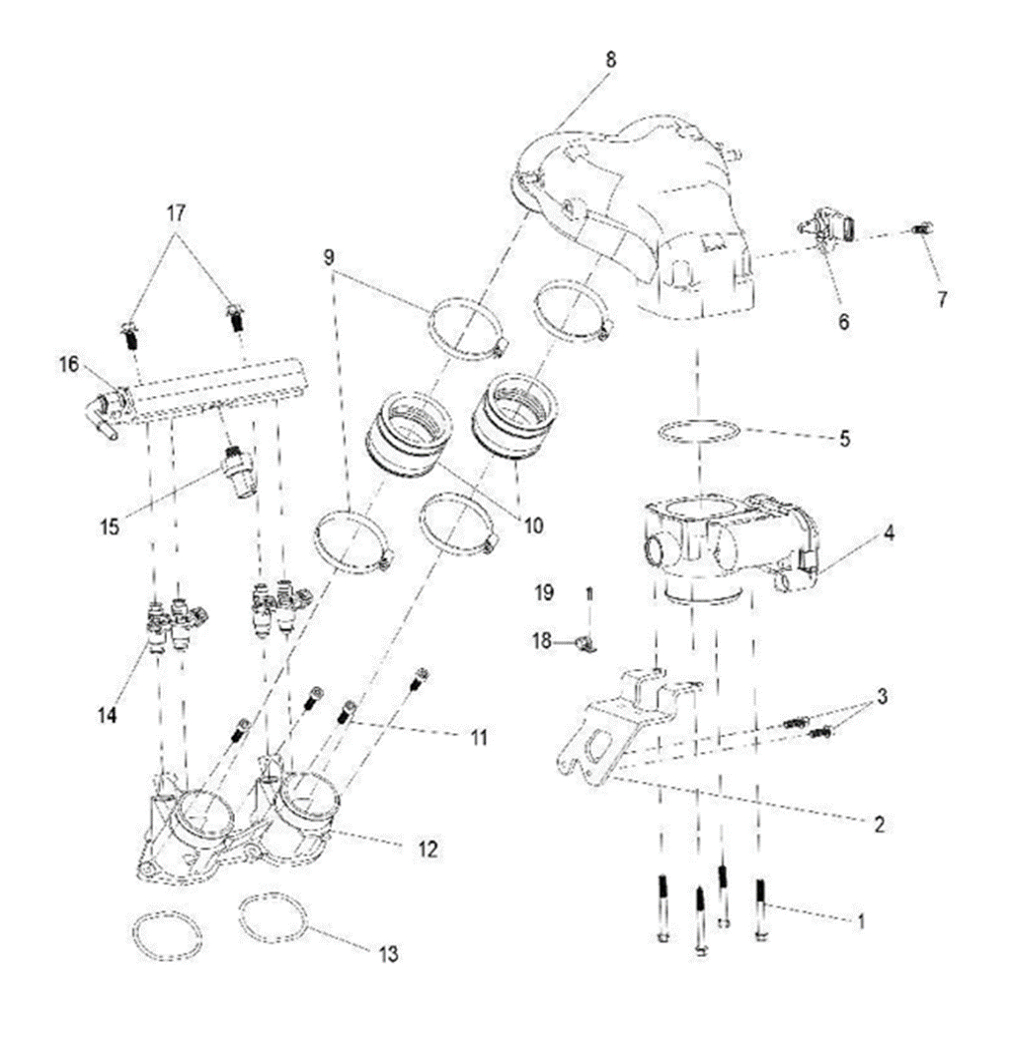 Intake plenum