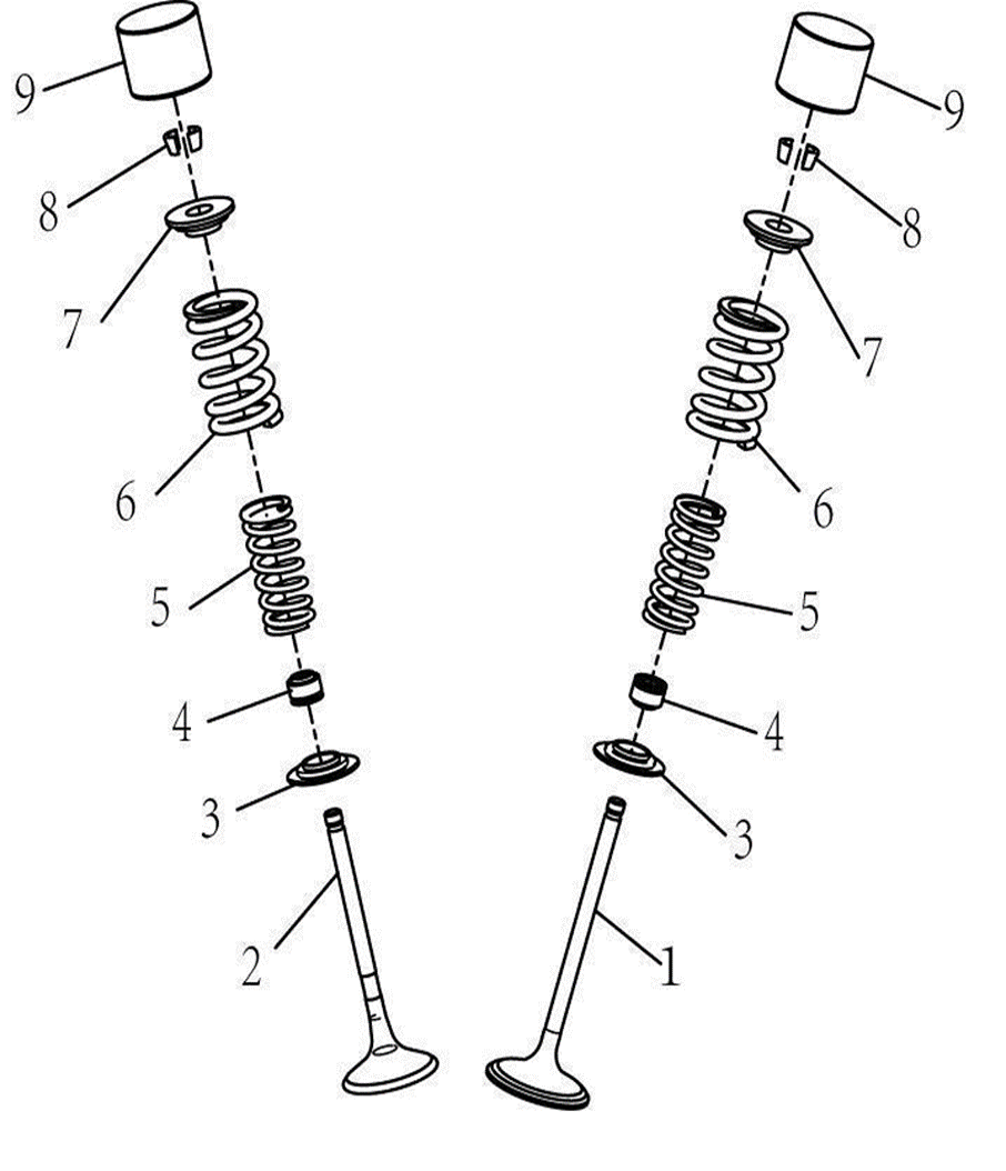 VALVE SPRING, INNNER